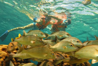 Snorkel Adventure Tour