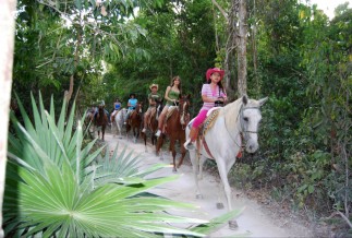 Horseback Riding