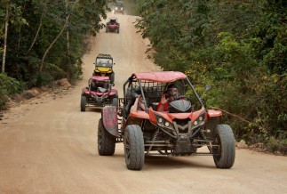 Jungle Buggy Tour Playa del Carmen / Rent a Buggy